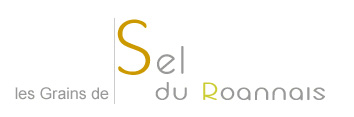 Logo Sel du Roannais